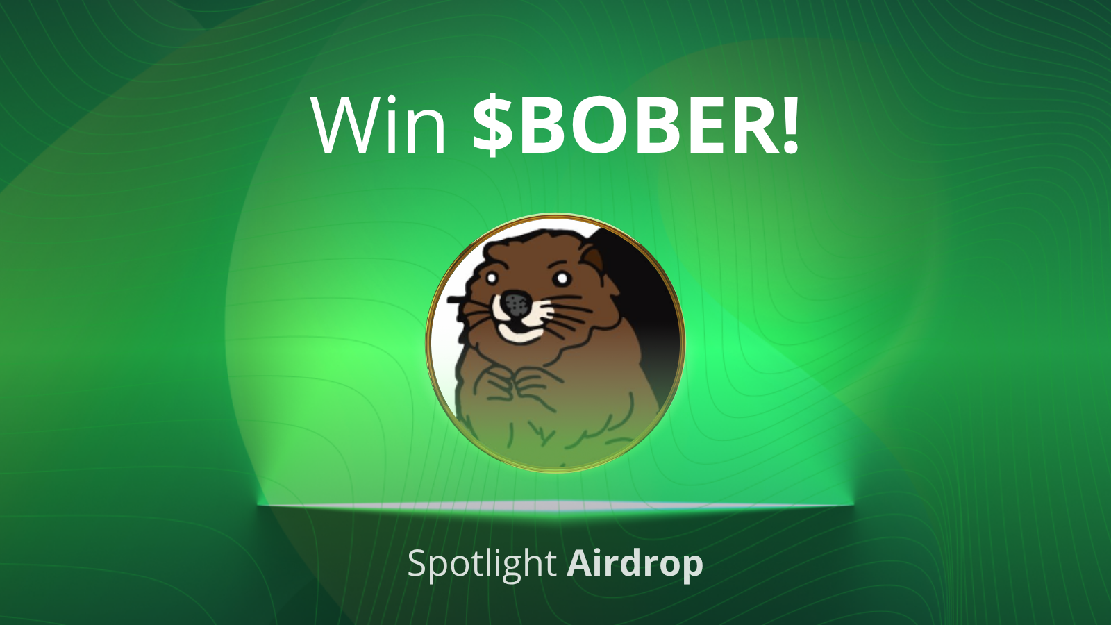 Win BOBER on Tradesilvania Spotlight!
