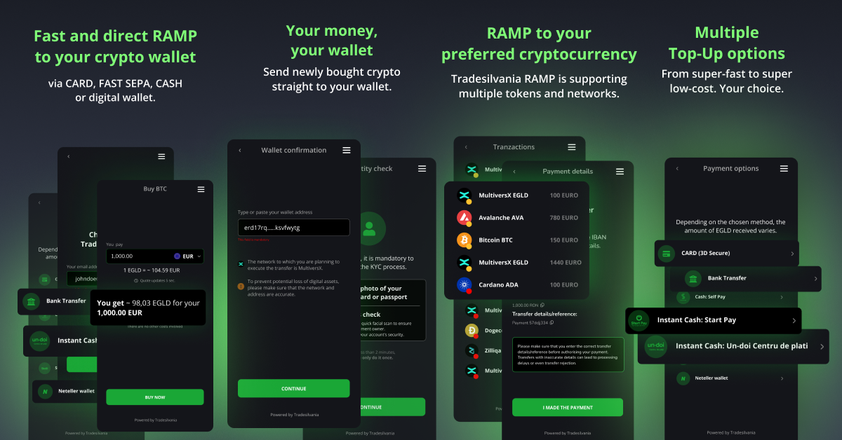 Presentation of the Tradesilvania RAMP application interface, RON or EURO wallet deposit function, multiple payment options