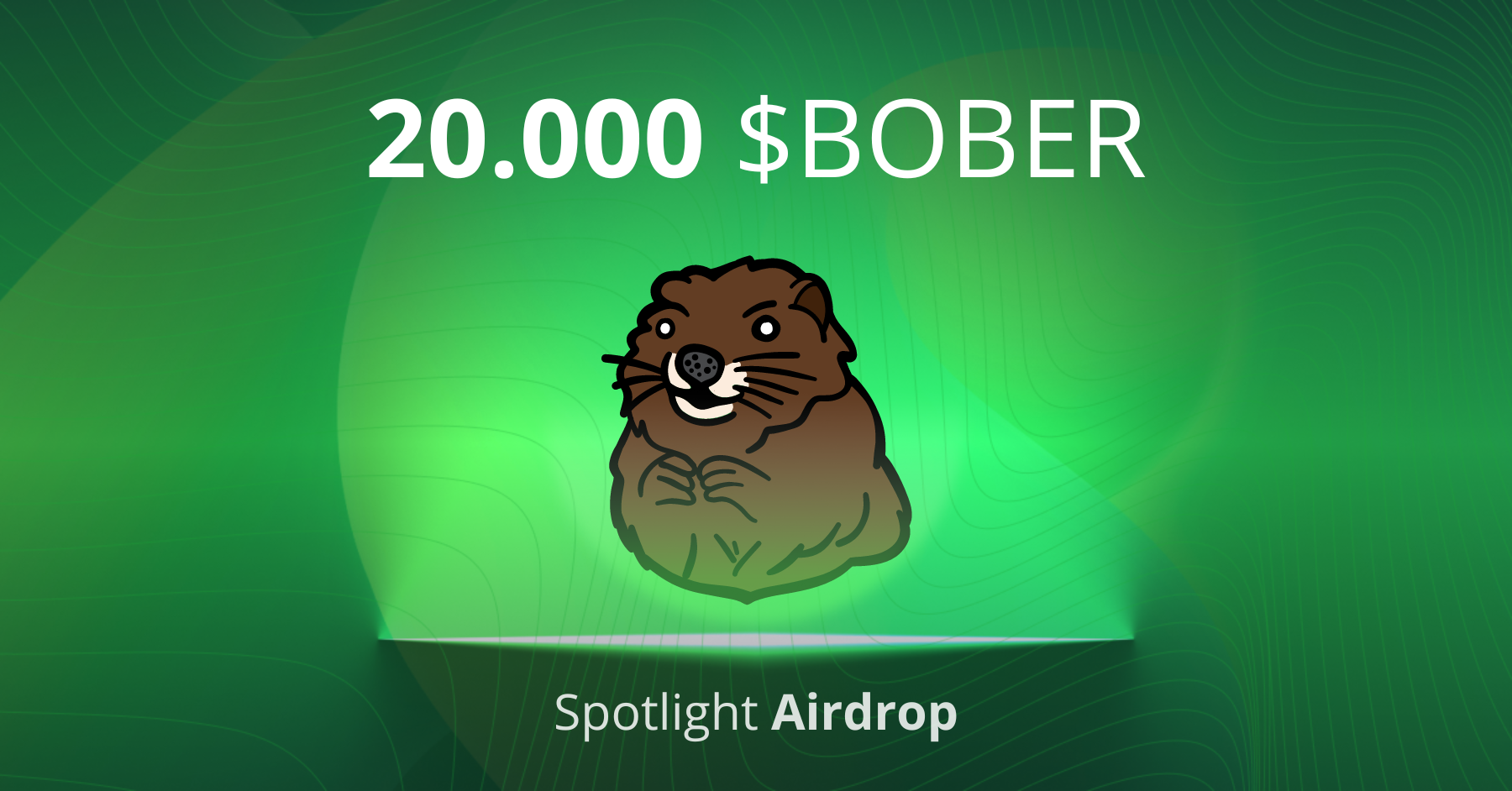 Win 20.000 $BOBER on Tradesilvania Spotlight