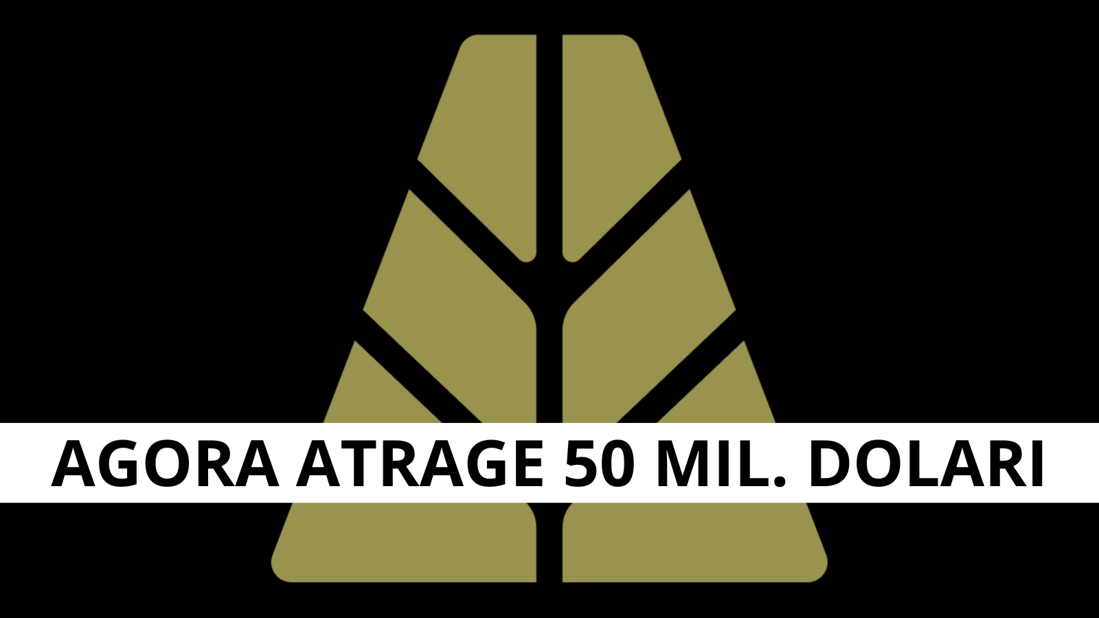 Agora atrage 50 milioane USD pentru extinderea infrastructurii stablecoin