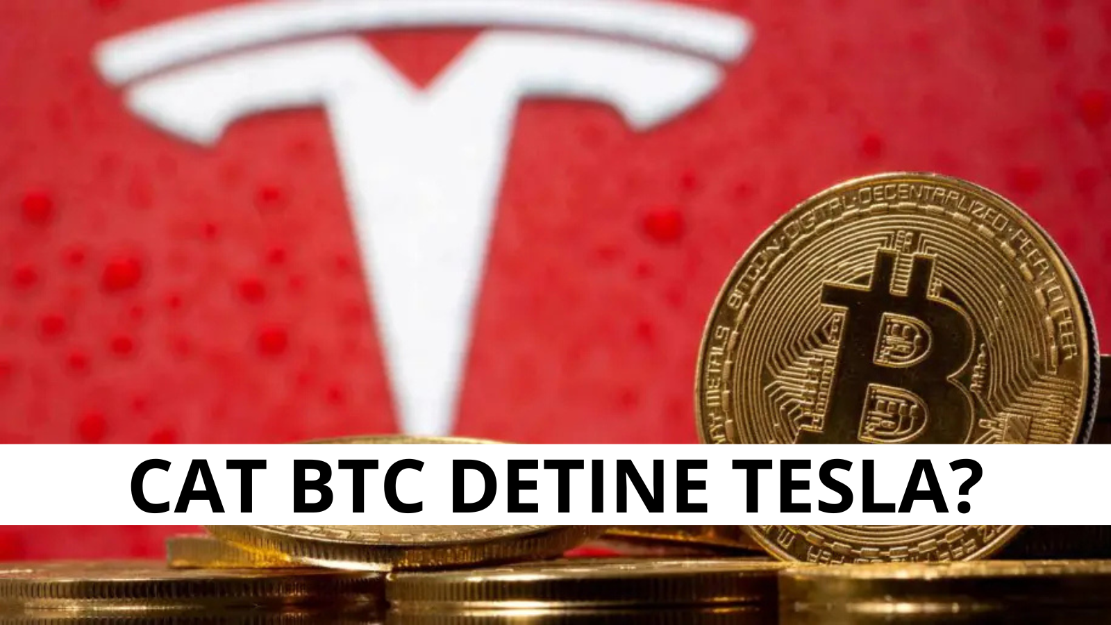 Cati Bitcoin detine Tesla in 2025?