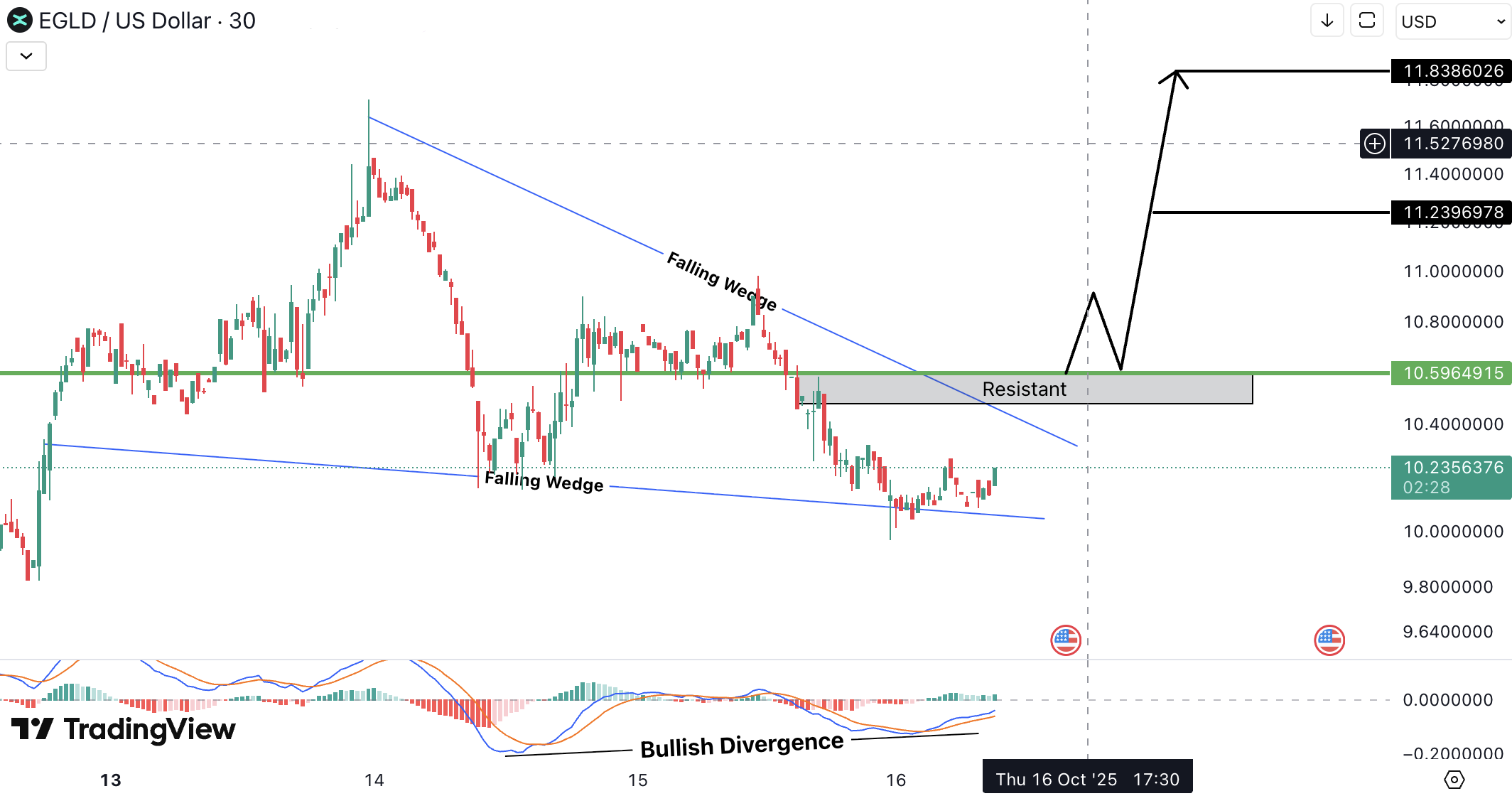 Analiza MultiversX (EGLD)