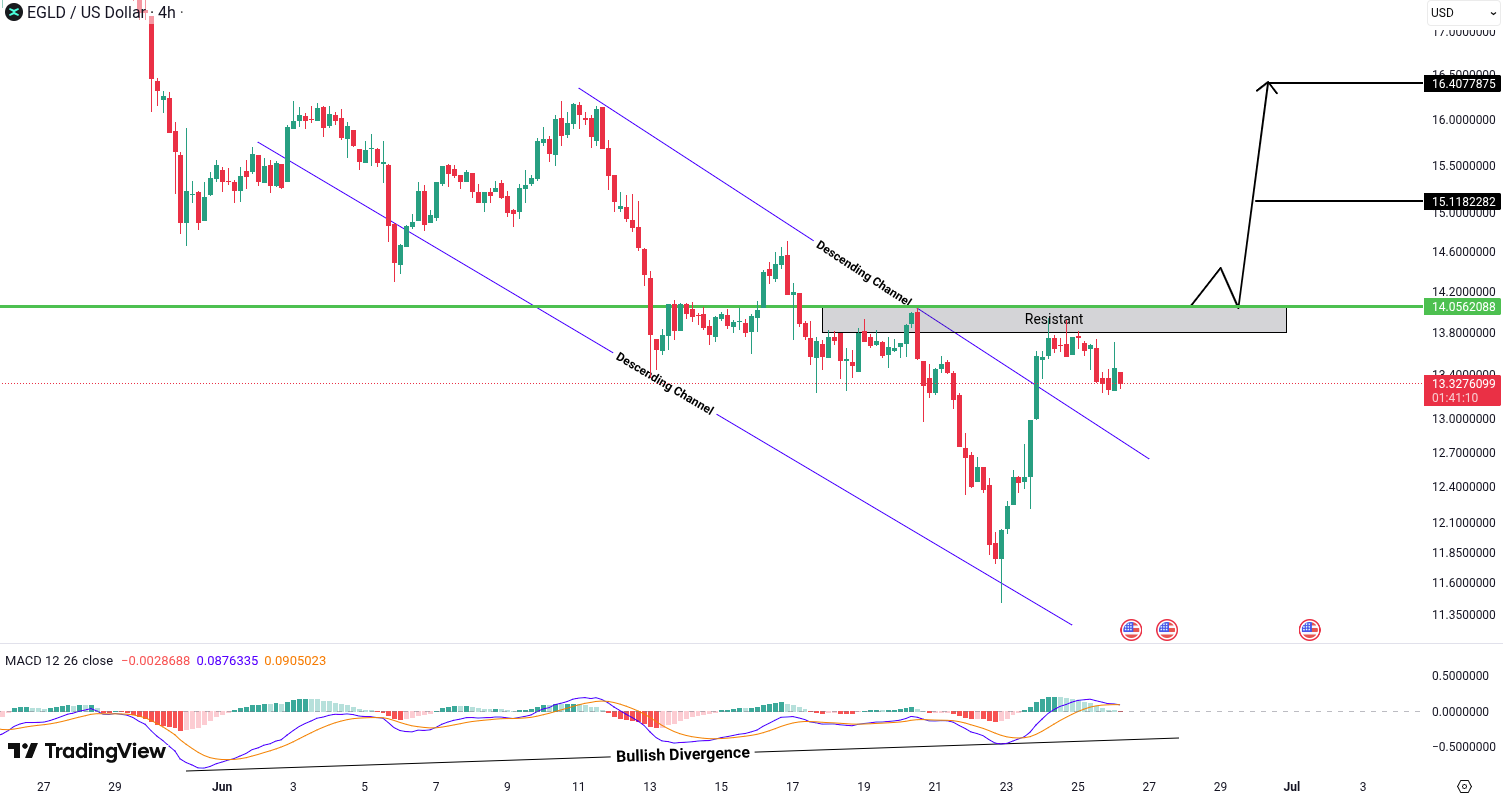 Analiza MultiversX (EGLD)