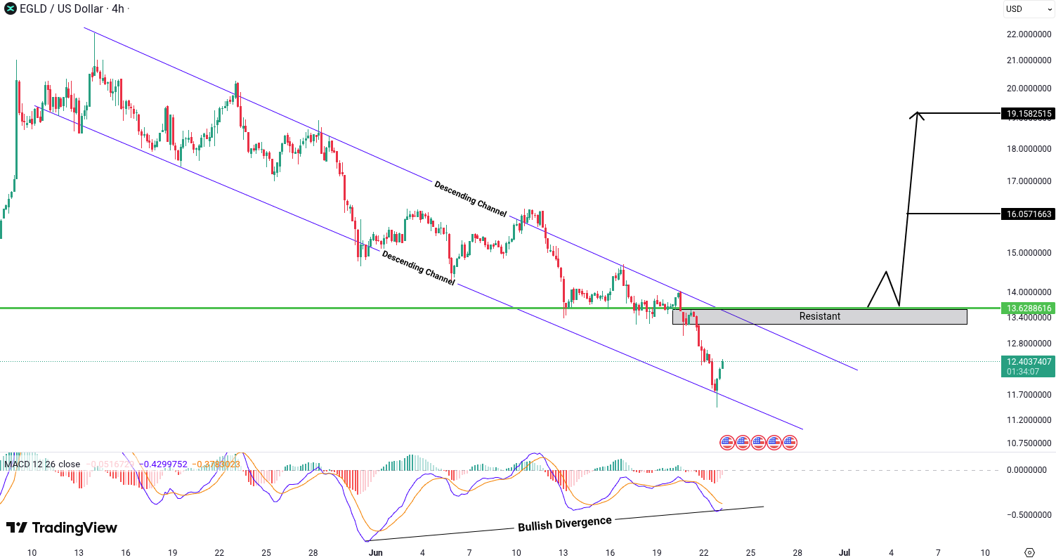 Analiza MultiversX (EGLD)