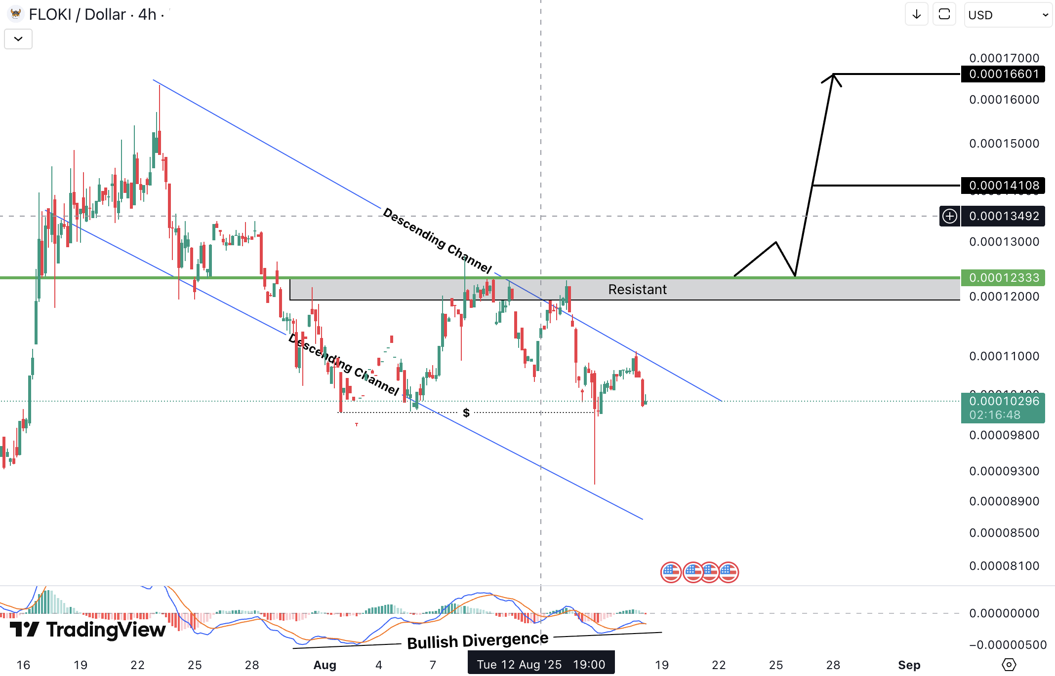 Floki (FLOKI) Analysis