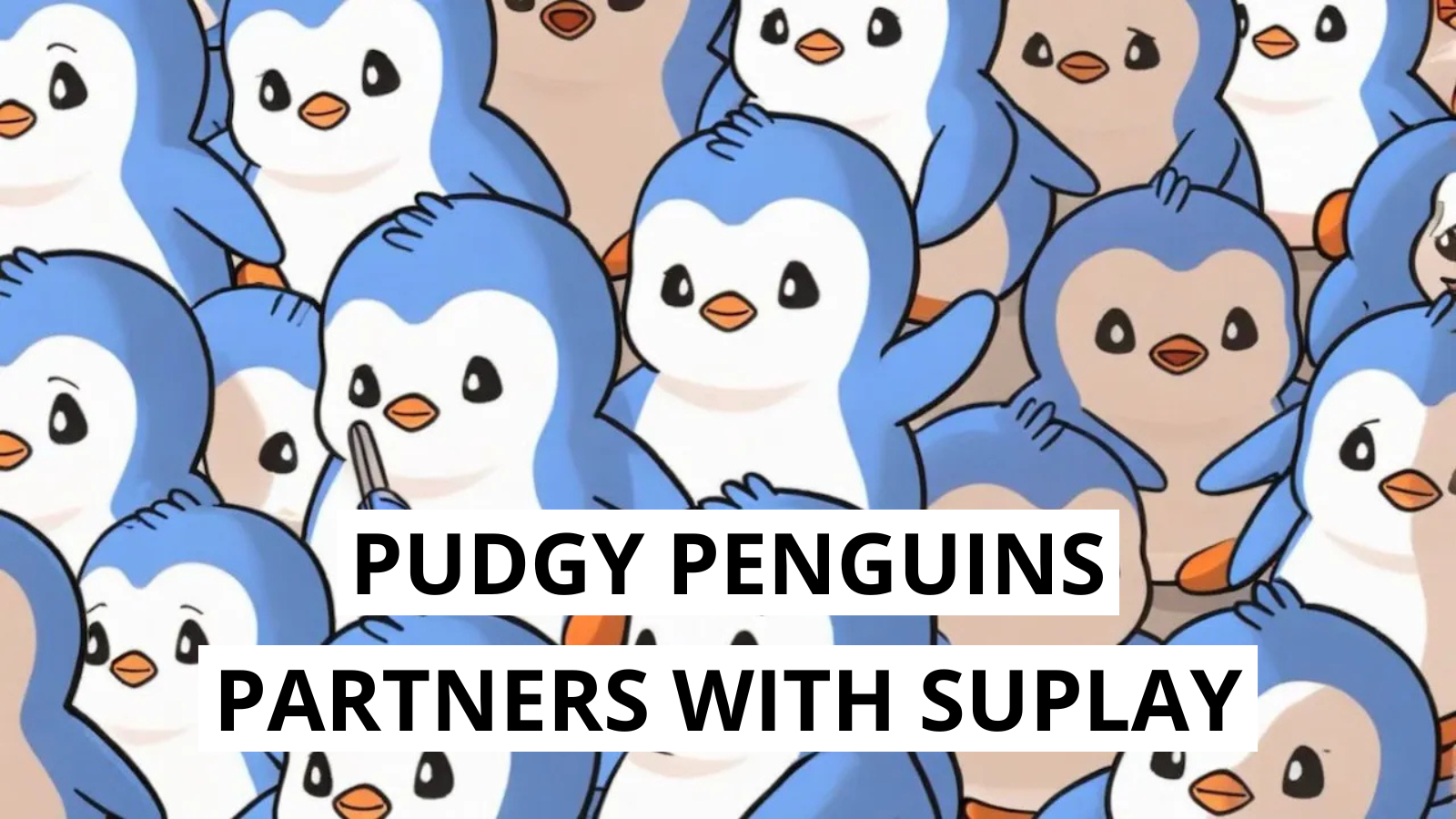 Pudgy Penguins Boosts PENGU Token With Strategic Suplay Inc. Alliance